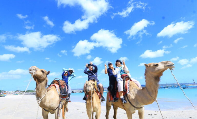 camel ride